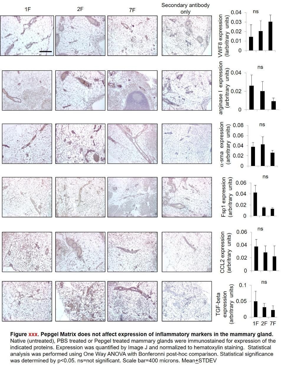 No. 0004 PGmatrix™ Injection for Regenerative Medicine